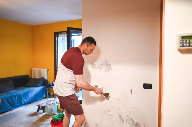 Best Commercial Mold Removal  in West Glendive, MT